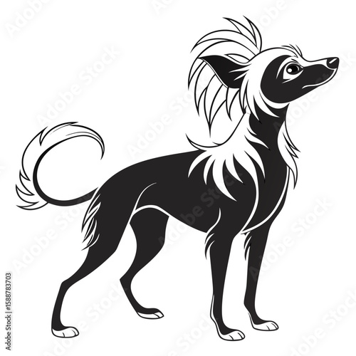 Chinese crested dog standing, a black and white illustration