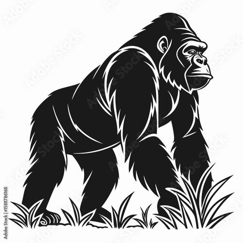 A gorilla standing on grass, black and white illustration