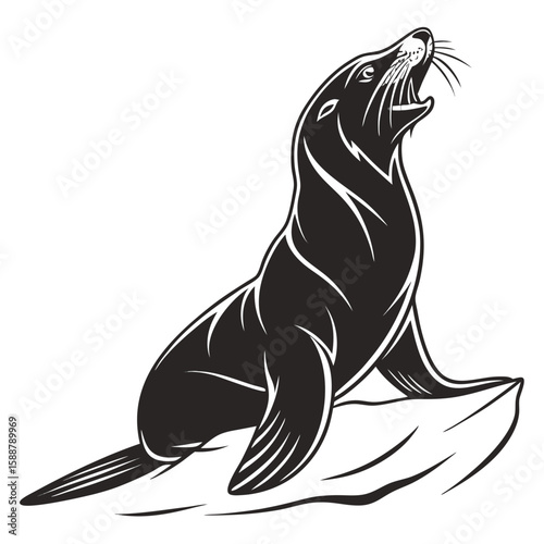 Black and white illustration of a seal calling out