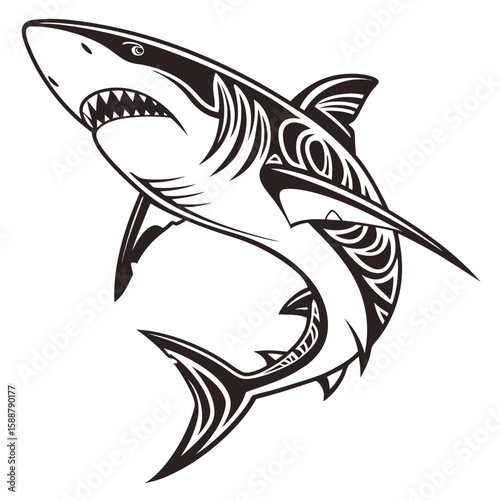 Great white shark swimming aggressively isolated on white background