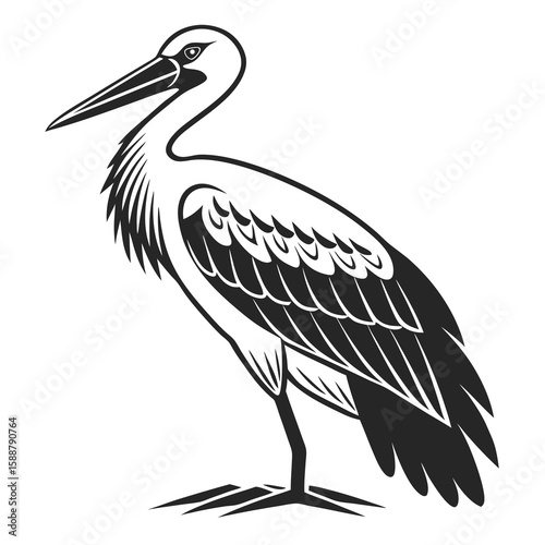 A crane bird with detailed feathers, isolated on white