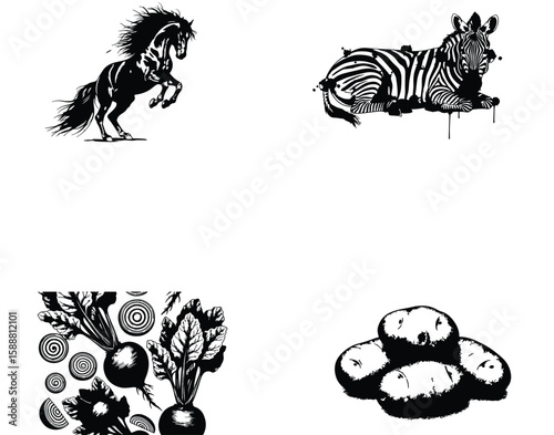 Vector art of a compilation of black and white sketches depicting a rearing horse, a zebra, beets, and potatoes