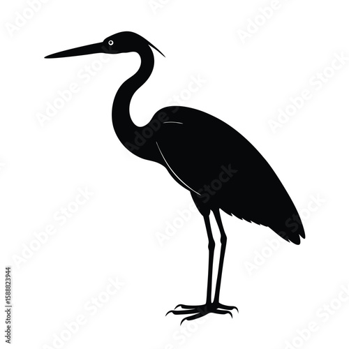 Great blue heron bird silhouette vector art illustration