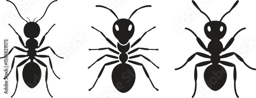Silhouette ant icon. Insect, pest, nature, wildlife vector illustration isolate on white background