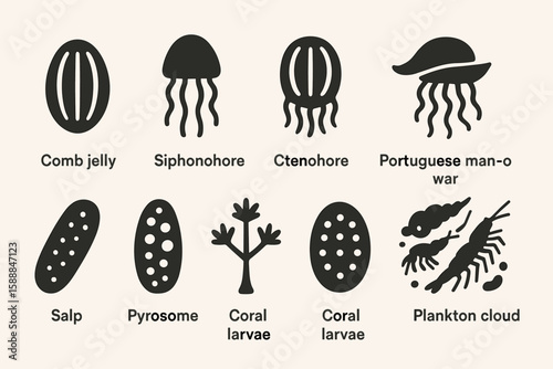 Marine life silhouette icon set: jellyfish, plankton, coral outline collection
