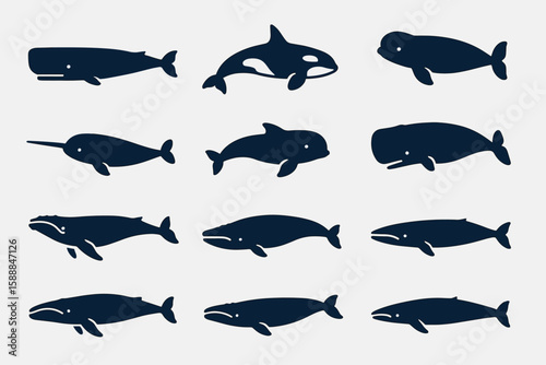 Whale silhouette icon set. marine, ocean, sealife silhouette illustrations collection