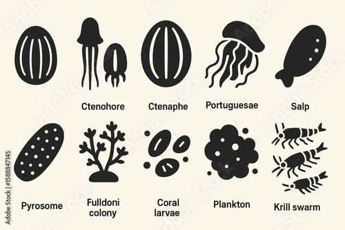 Aquatic creatures solid icon set. ocean, marine life, jellyfish, plankton collection