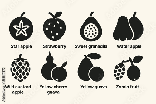 Fruit silhouette icon set. tropical and exotic fruit icons in silhouette style