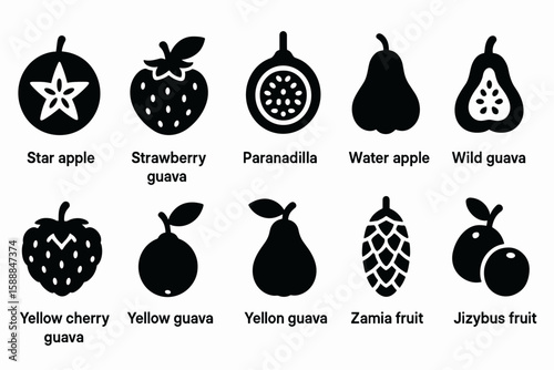 Exotic fruits filled icon set. star apple, paranadilla, and wild guava collection