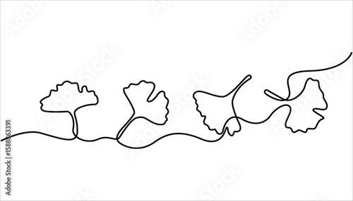 Ginkgo biloba Continuous one line drawing. Abstract botany minimalist poster, Ginkgo flower, Fresh ginkgo biloba green leaf Continuous Line Drawing. 
