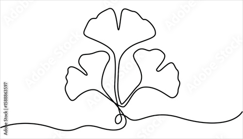 Ginkgo biloba Continuous one line drawing. Abstract botany minimalist poster, Ginkgo flower, Fresh ginkgo biloba green leaf Continuous Line Drawing. 
