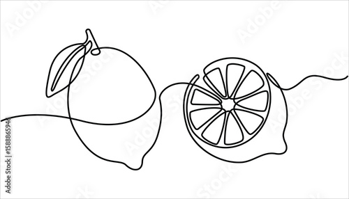 Single line lemon fruit drawing white background. Continuous single one line drawing of lemon fresh summer fruit vector illustration, single line lemon icon. Lemon fruit continuous one line drawing .