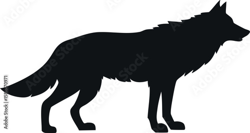 Wolf silhouette illustration