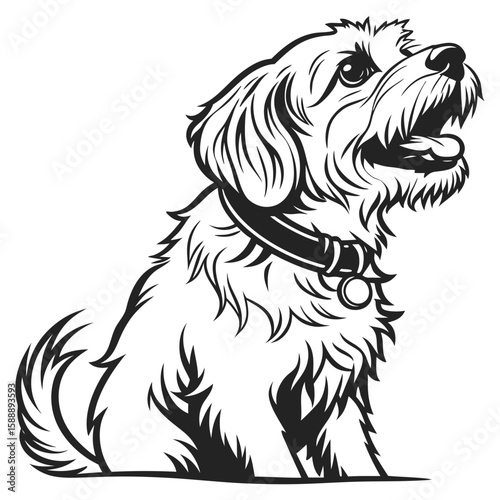 Wallpaper Mural Dog with a collar sitting and smiling Torontodigital.ca