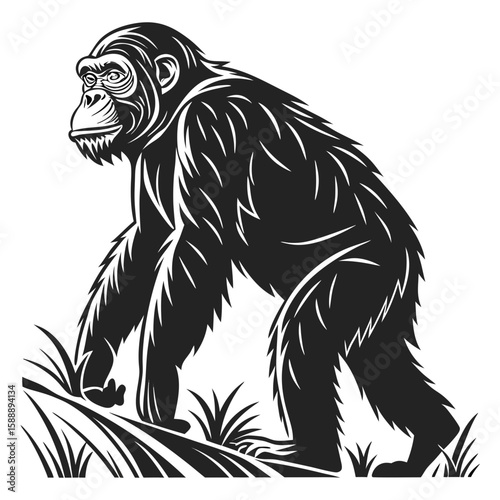 Stylized chimpanzee walking through grass in silhouette