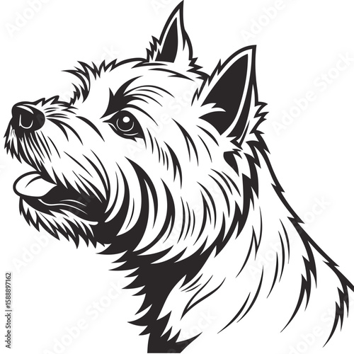 A westie terrier dog head illustration isolated on white background