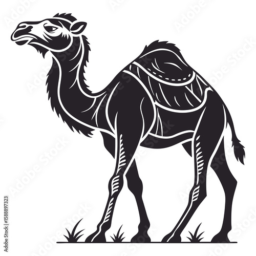 Stylized camel illustration isolated on white background