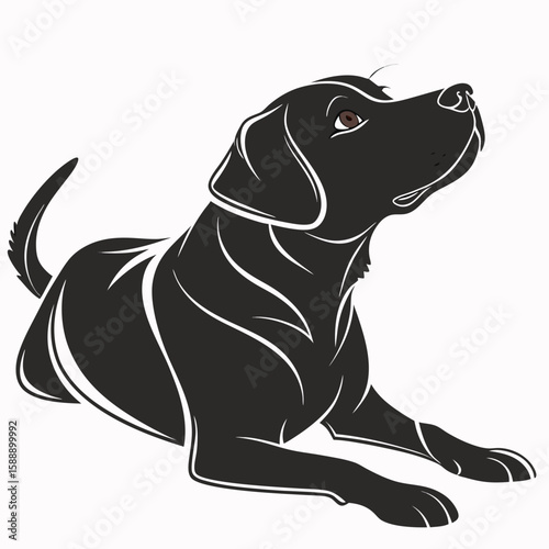 Black labrador retriever lying down profile illustration