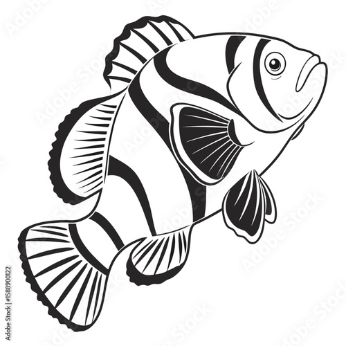 A black and white illustration of a clownfish swimming