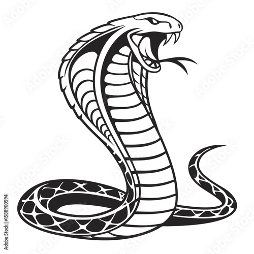 A striking cobra snake with its hood flared, isolated on white background