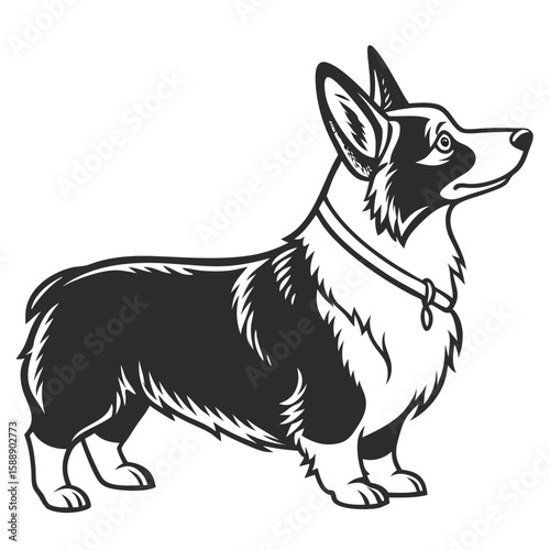 Black and white illustration of a corgi dog with collar