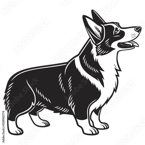 Black and white illustration of a corgi dog