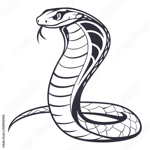 A black and white cobra rears up menacingly