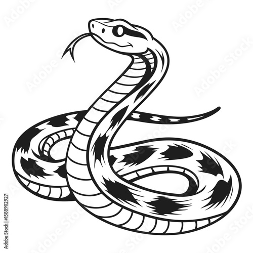 A rattlesnake coiled with its tongue flicking