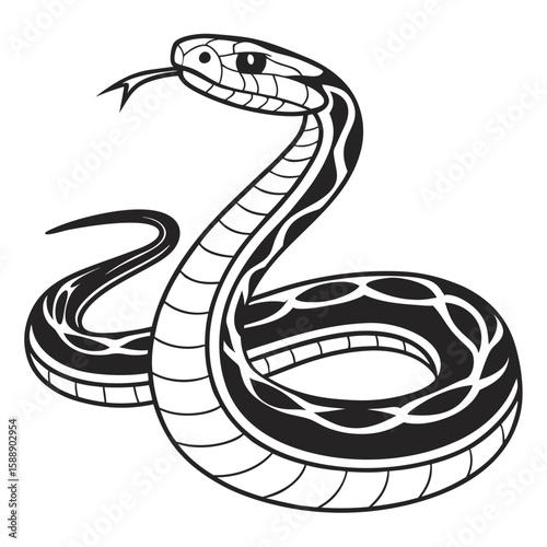 A python coiled in a defensive posture