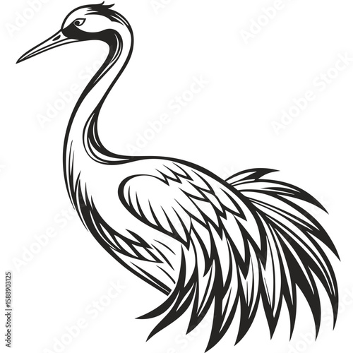 An elegant crane illustration, isolated on a white background