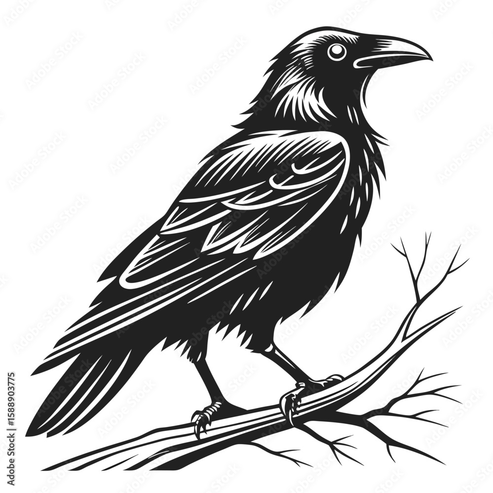 Obraz premium A detailed illustration of a crow perched on a branch