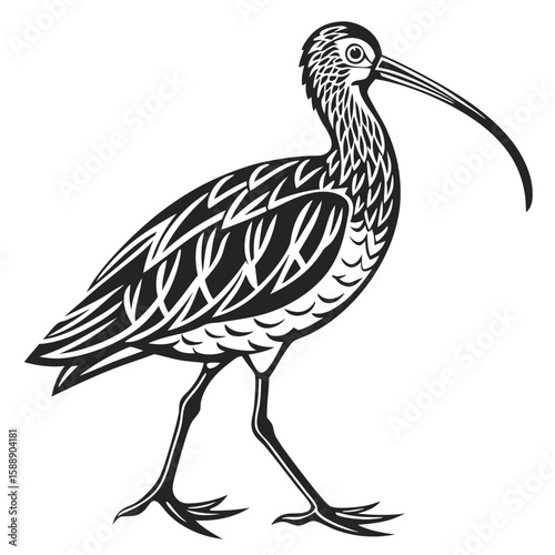 Stylized curlew with a long curved beak on white background