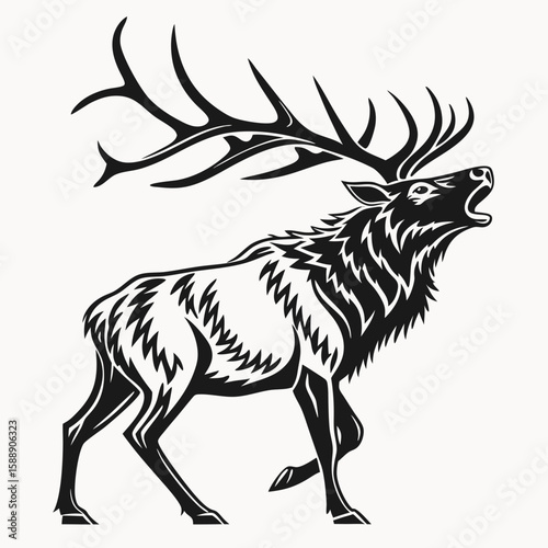 Elk with antlers roaring, isolated on white background