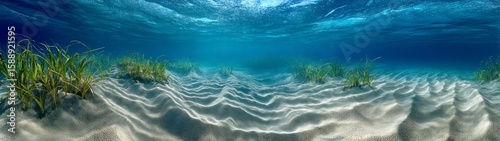 Panoramic 360 degrees underwater scene ocean floor hdri content serene environment