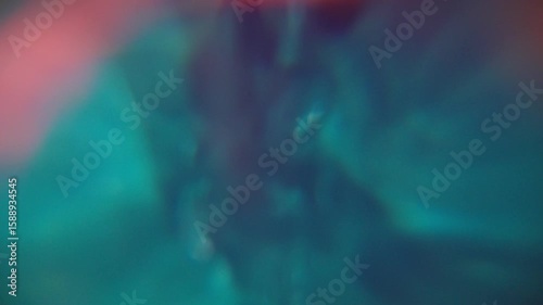 Experimental Abstract Texture for Cutaway, B-Roll, Transition. Plants and Sea Animal