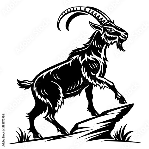 A black goat standing on a rock