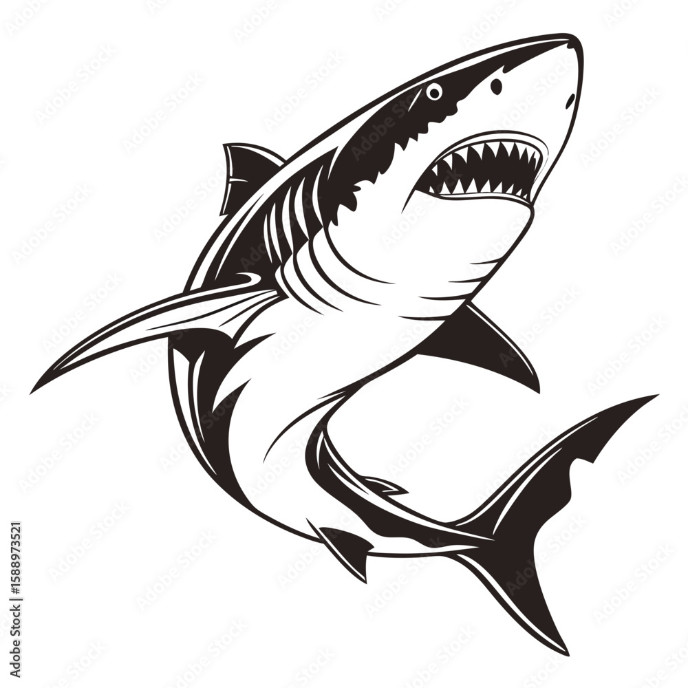 Fototapeta premium A menacing shark illustration isolated on white background