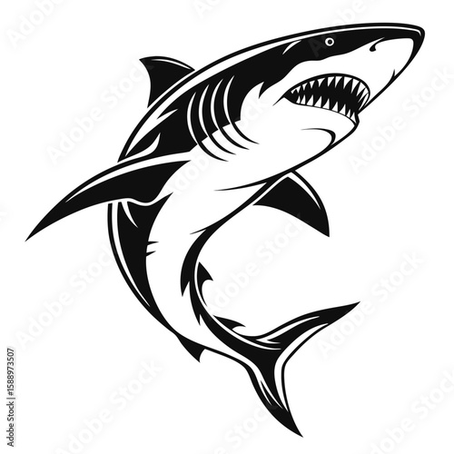 A menacing shark illustration isolated on white background