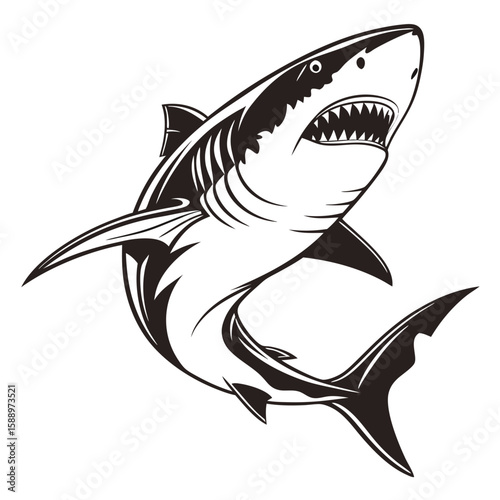 A menacing shark illustration isolated on white background