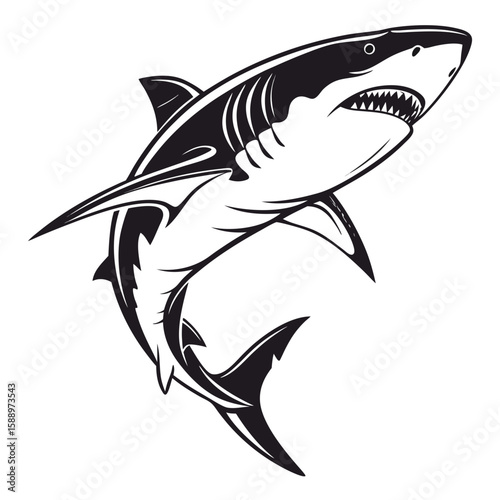 A menacing shark illustration isolated on white background