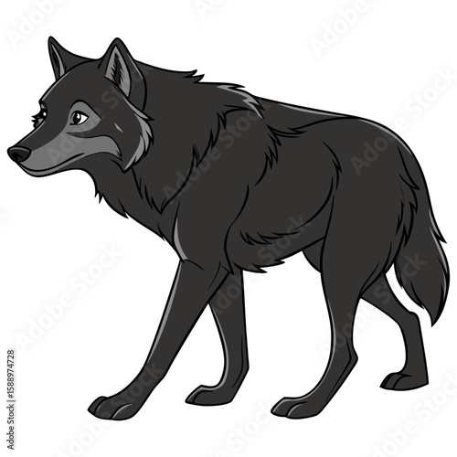 A black wolf walking, isolated on a white background