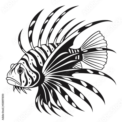 A striking black and white lionfish illustration isolated on white