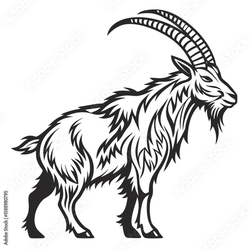 Majestic ibex goat with large curved horns