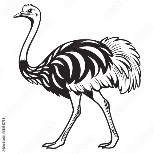 Stylized illustration of an ostrich walking