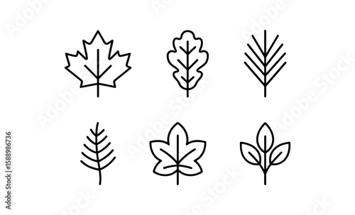 Minimalist leaf icons set: contemporary black linear designs for nature themes