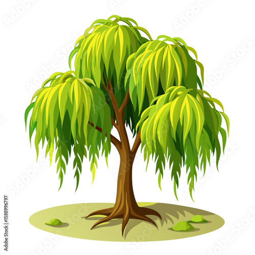 Willow  vector  tree