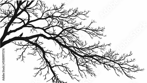 Silhouette tree branch with bird vector graphic design element for nature and autumn themed projects design