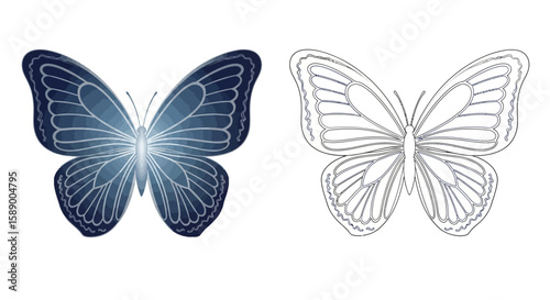 Beautiful Eight Fold Butterfly Mandala Coloring Page in Full Color and Intricate Line Art