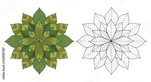 Leaf Pattern Mandala Coloring Page Featuring Artistic Colored and Detailed Outline Design