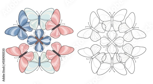 Graceful Rounded Wing Butterfly Mandala Coloring Page with Colored and Outline Art Style